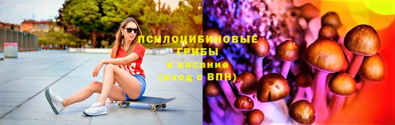 Галлюциногенные грибы Psilocybe  ОМГ ОМГ как зайти  Благодарный  где найти наркотики 